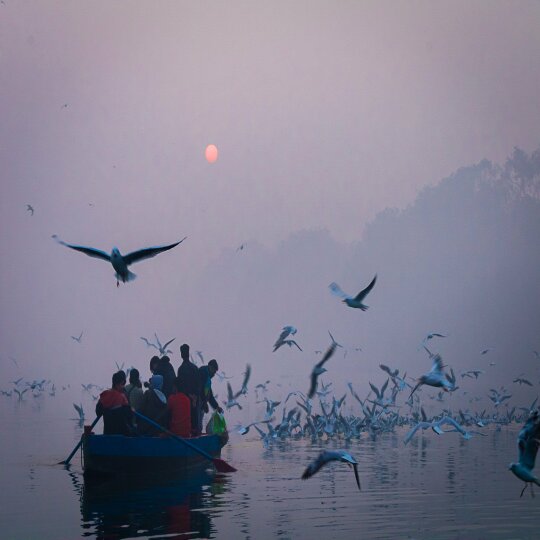 Yamuna and Boat Ride 